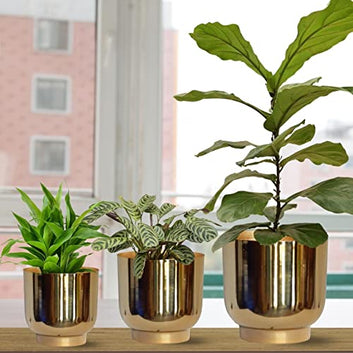 Set of 3 Metal Plant Pots (8 inch, 9 inch, 10 inch)